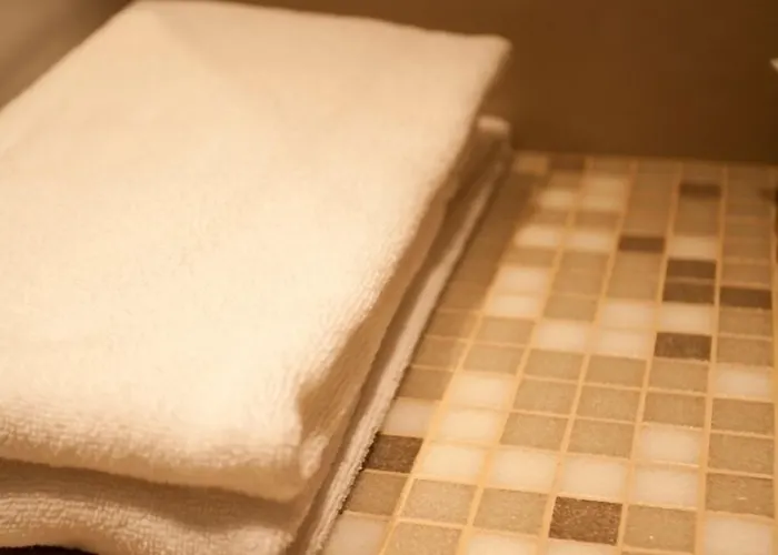 ホテル Centro Antas 3*